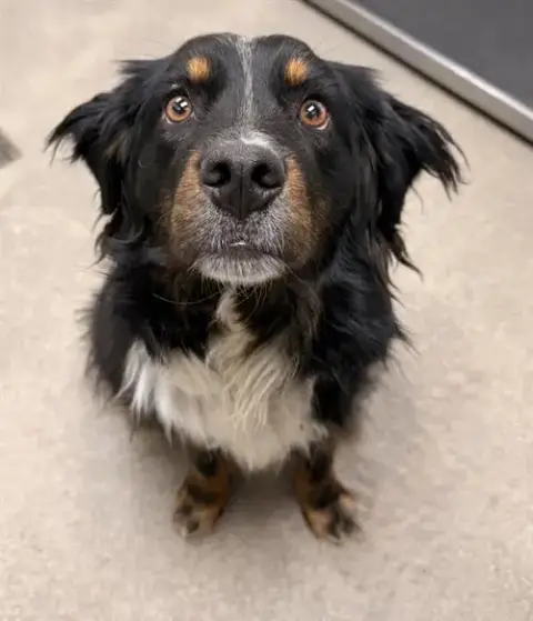 Delilah
