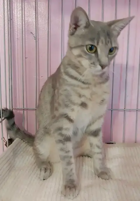 Freya photo 2