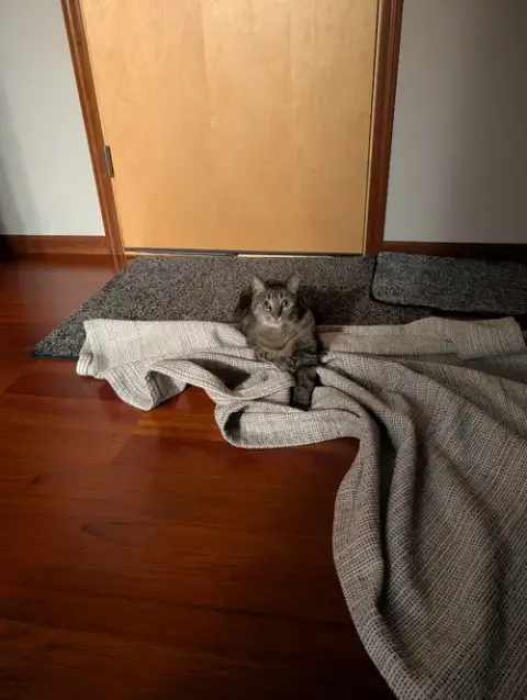 Miss Tilly photo 2