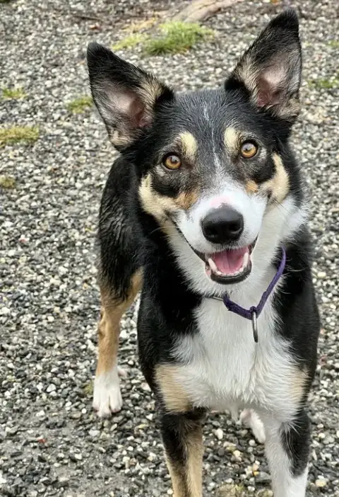 Bella photo 3