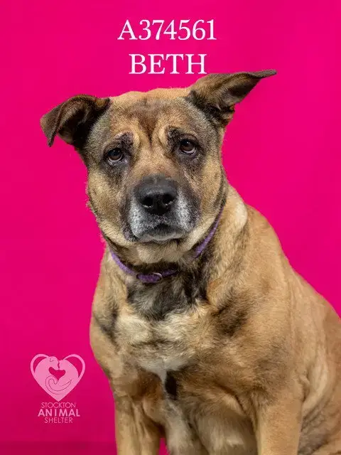 Beth