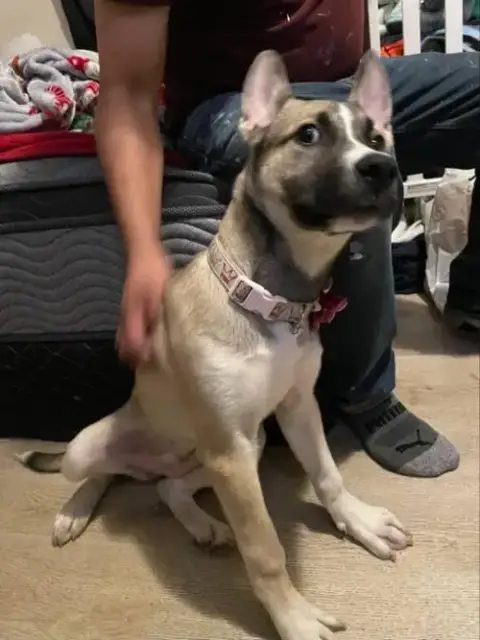 Luna photo 4