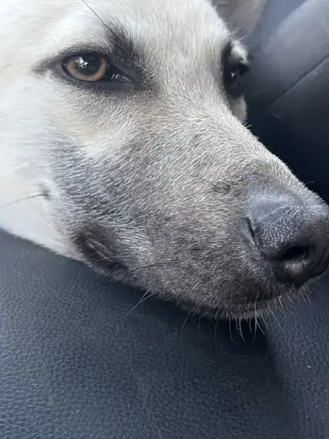 Bella photo 2