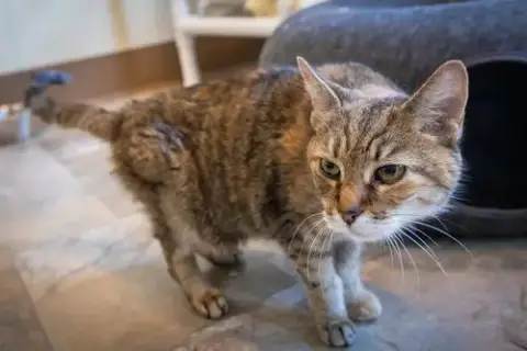 Alexandra: Hospice Foster Requested photo 5