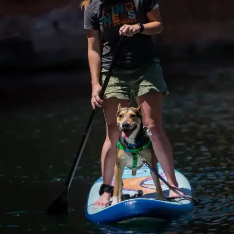 Dana photo 4