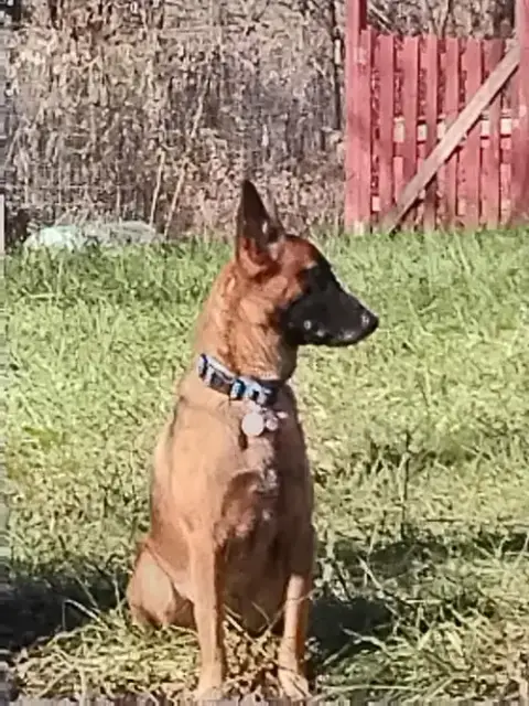 Lily Located In Kansas photo 2
