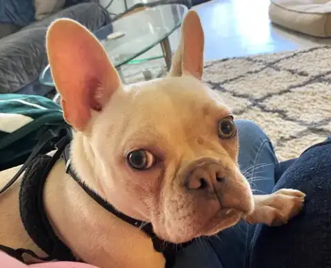 Roxy