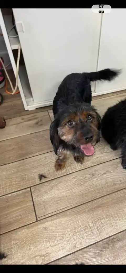 Milo