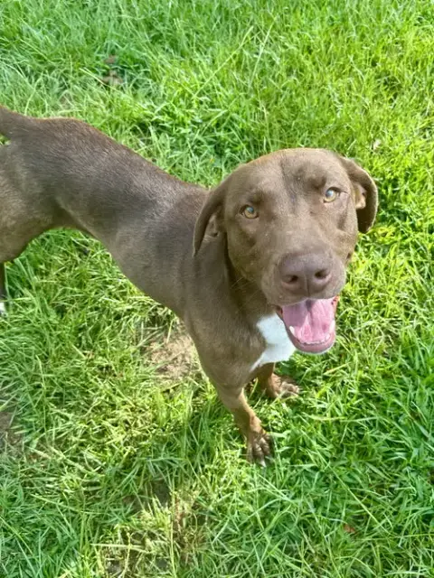 Tucker photo 2