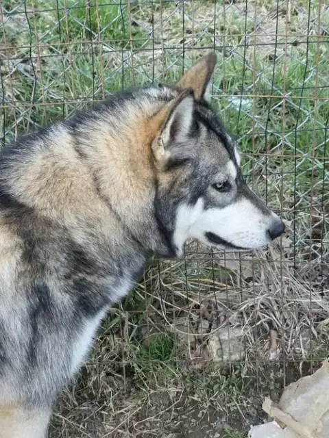 Bliss photo 2