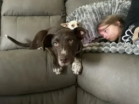 Casey