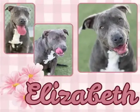 Elizabeth