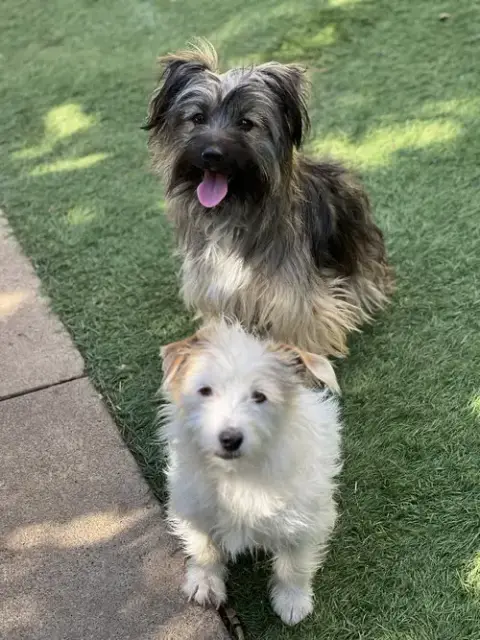 Ella And Shelby photo 3