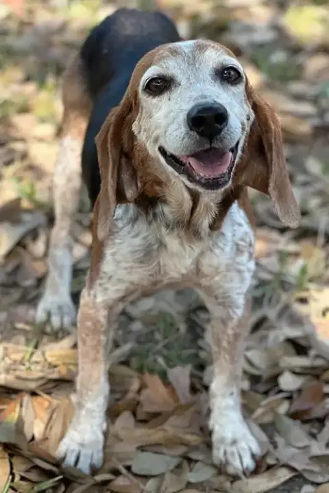 Lydia