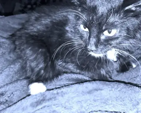 Riley photo 2