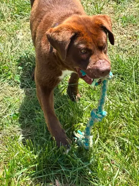 Rucker: At Shelter photo 2