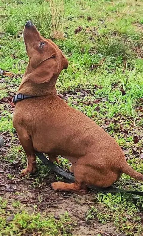 Luke In Nc photo 4