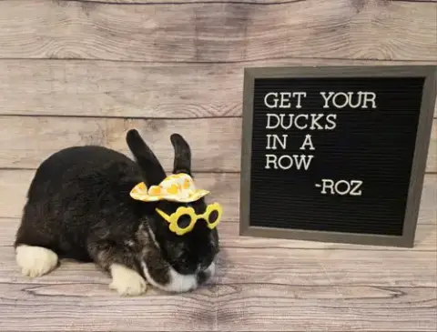 Roz photo 2