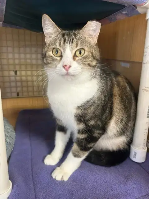 Zasha.