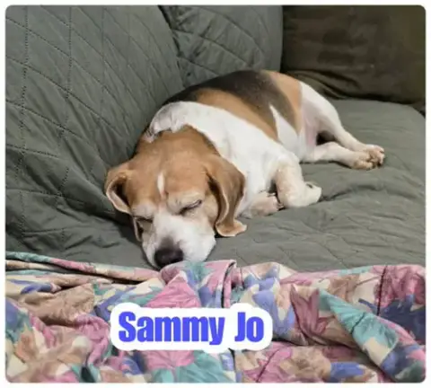 Sammy Jo