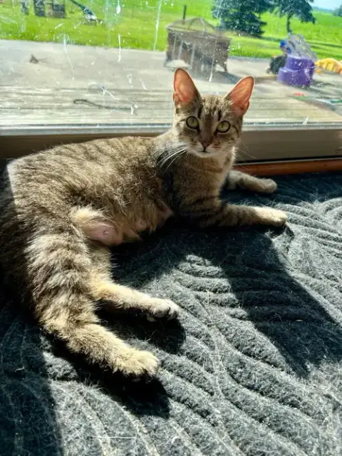 Dora photo 4