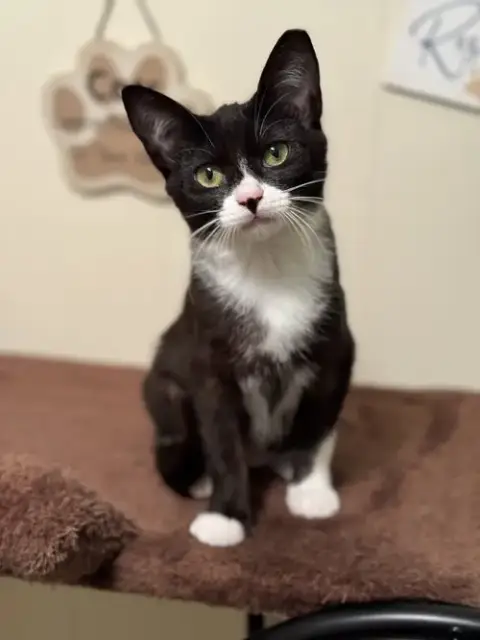 Penelope photo 3