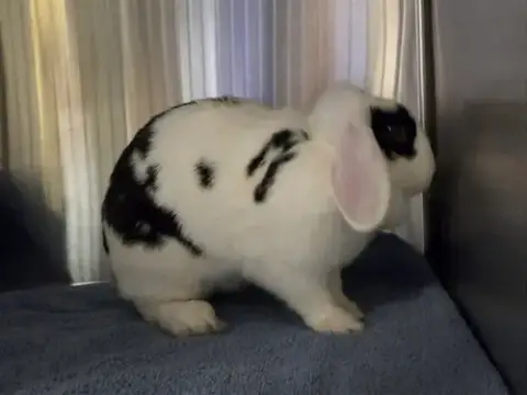 Marble