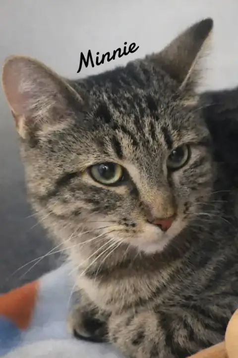 Minnie