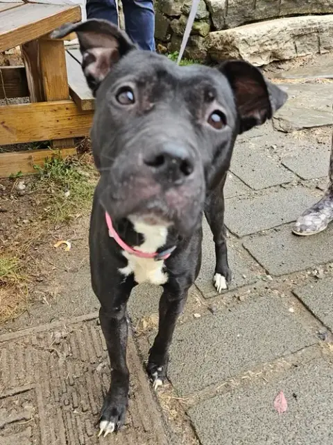 Emmie The Enchanting
