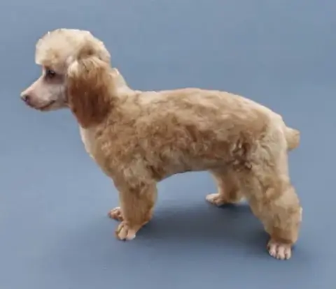 Lennon