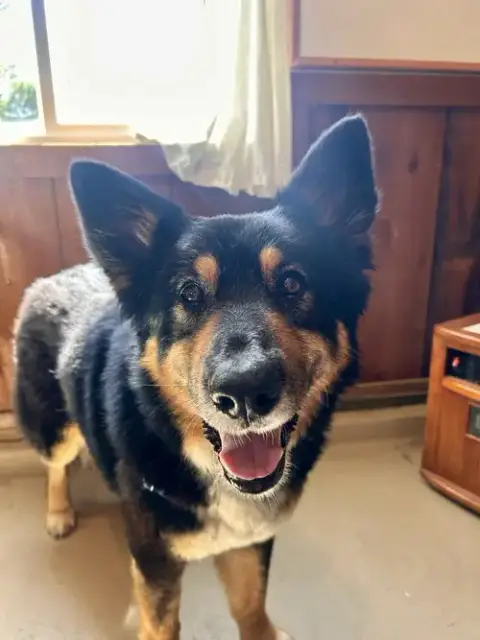 Precious