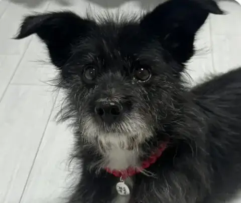 Charlie