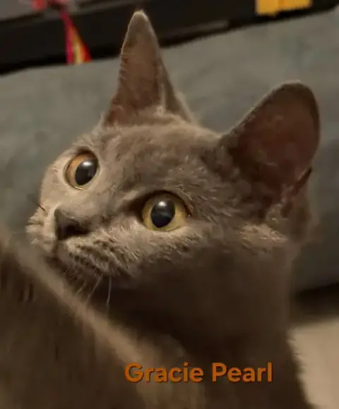 Gracie Pearl
