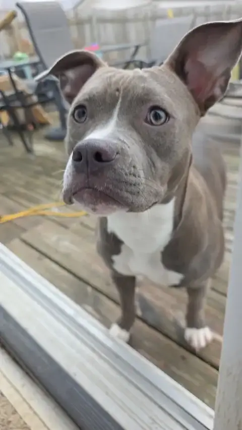 Bella photo 2