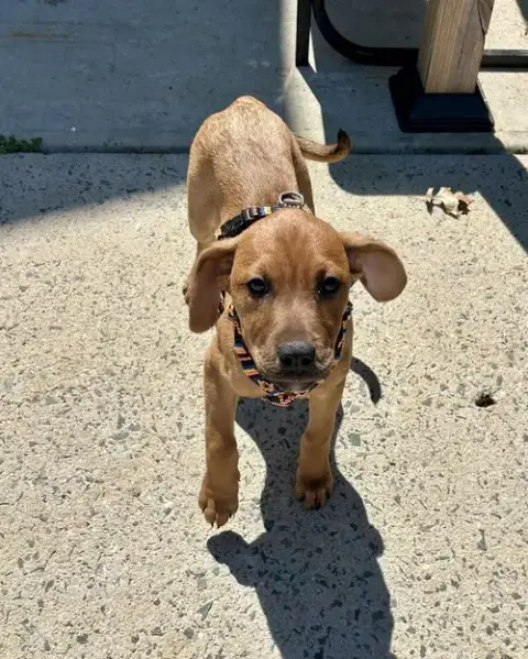 Ellie photo 2