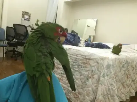 Sebastian photo 2