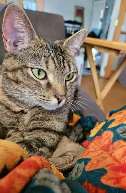Minnie