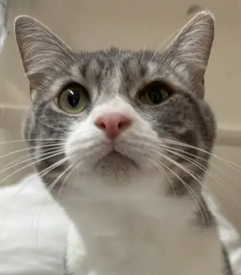 Tabitha photo 2