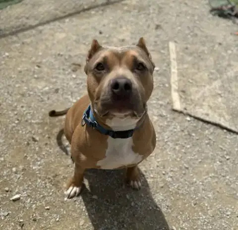Beckham Cooper photo 2