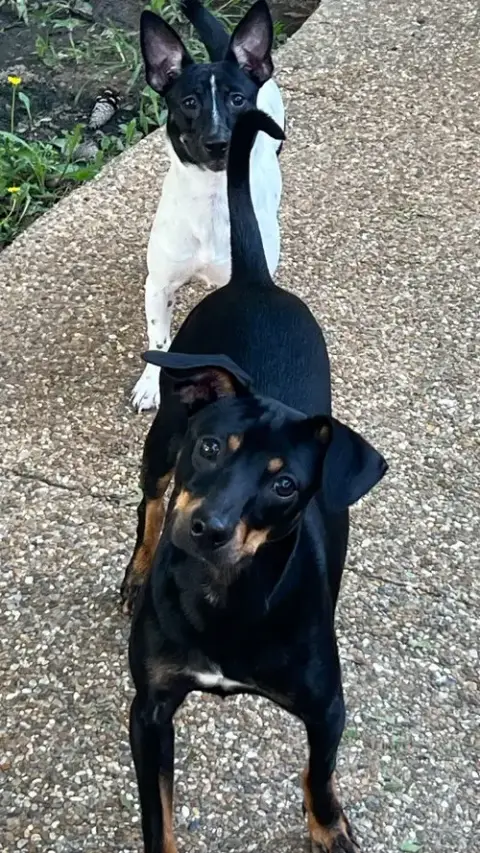 Macy photo 3