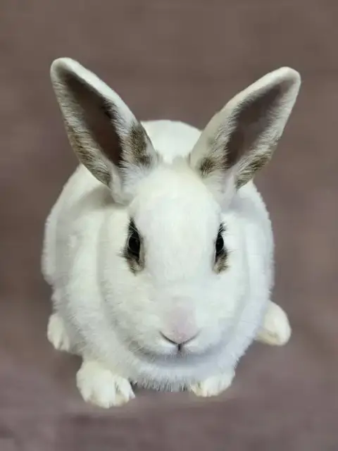 Eloise photo 3