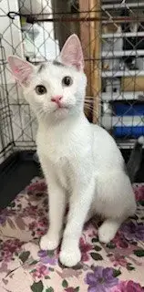 Timmy photo 5