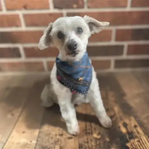 Eggnog A/K/A Eddie