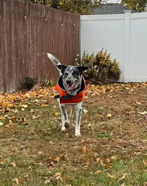 Riley photo 4