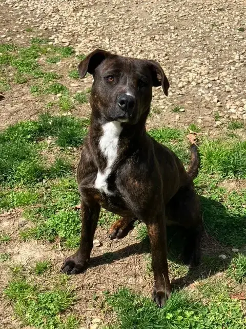 Brandy In Warsaw Va photo 3