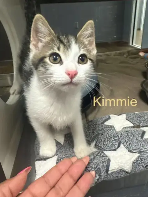 Kimmie