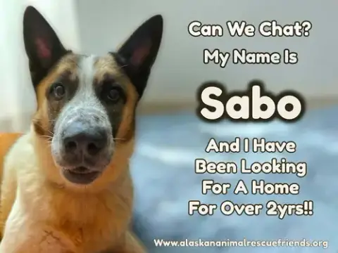 Sabo