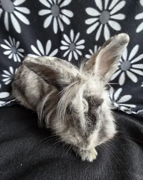 Elliot photo 2