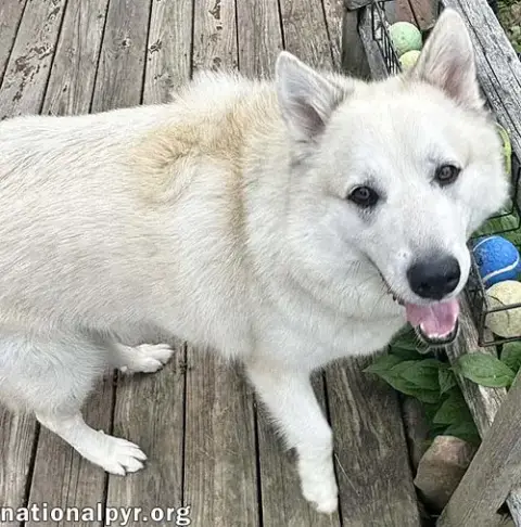 Milo In Pa photo 3