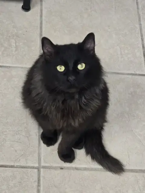 Zeke